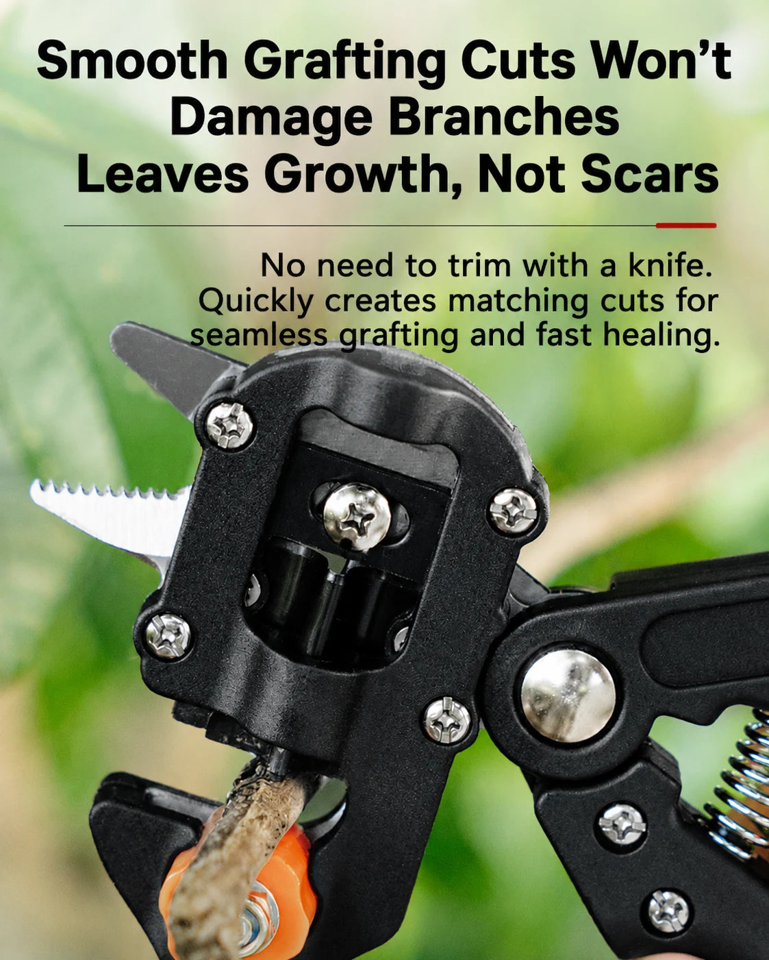 Matching graft cut example